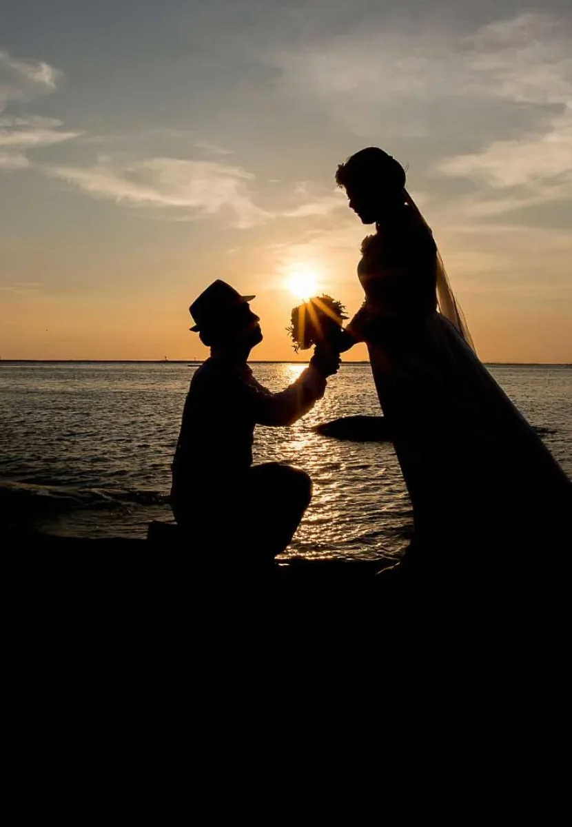 bg-boda