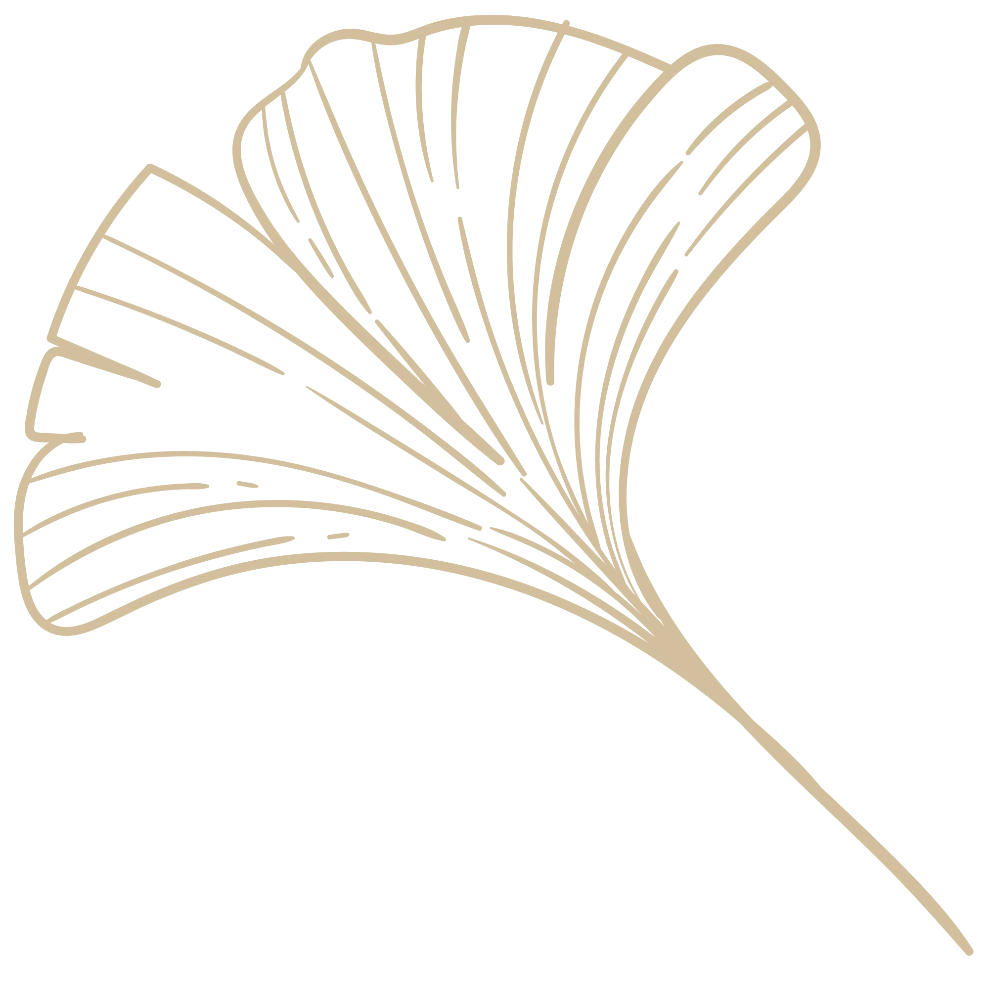 ornament-4